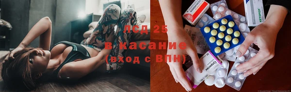 трава Абаза