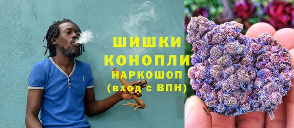 трава Абаза