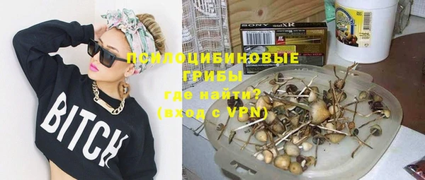 трава Абаза